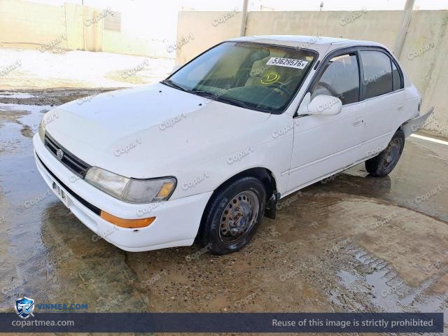 Auction photo