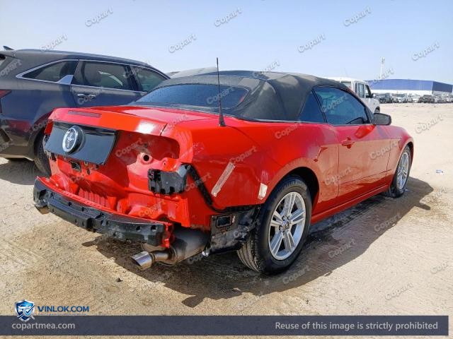 Auction photo