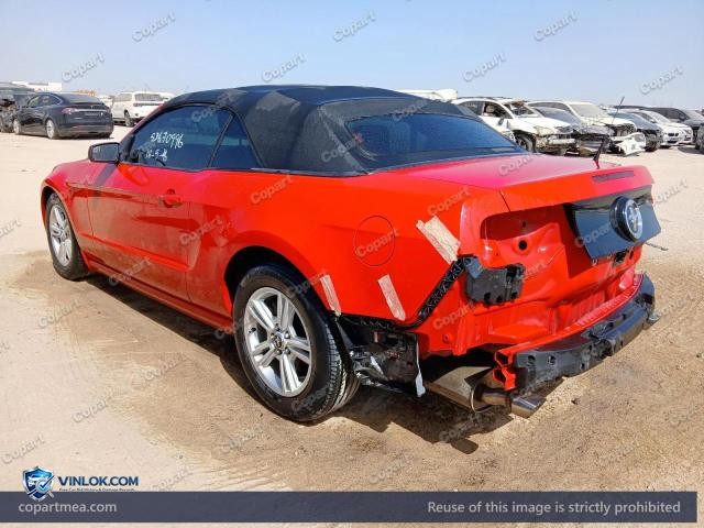 Auction photo