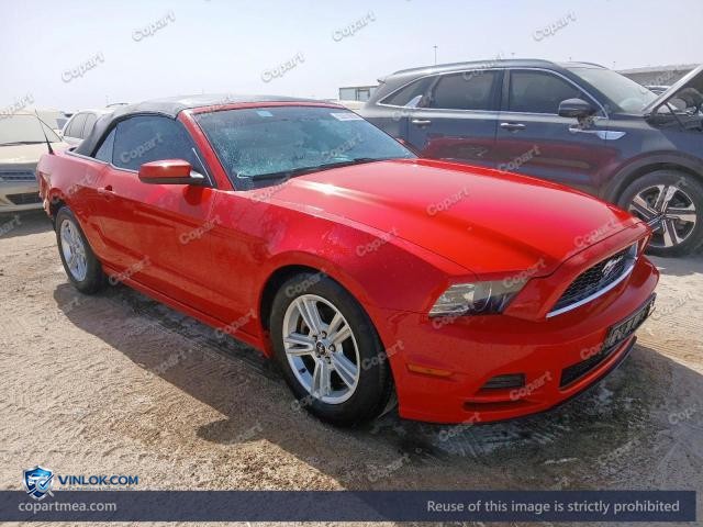 Auction photo