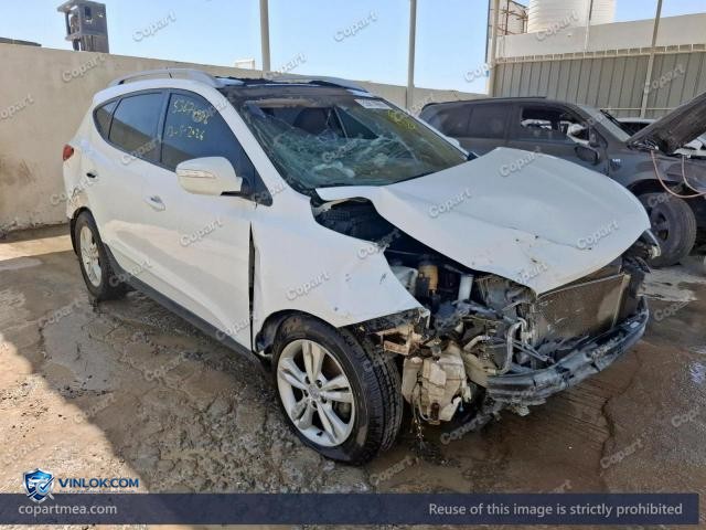 Auction photo