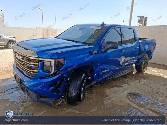 Auction photo