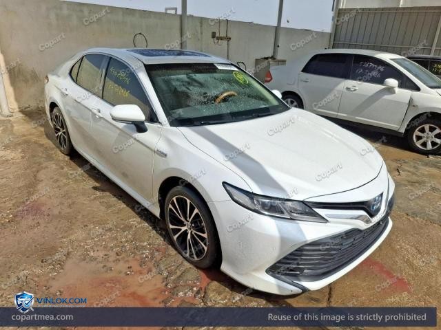 Auction photo
