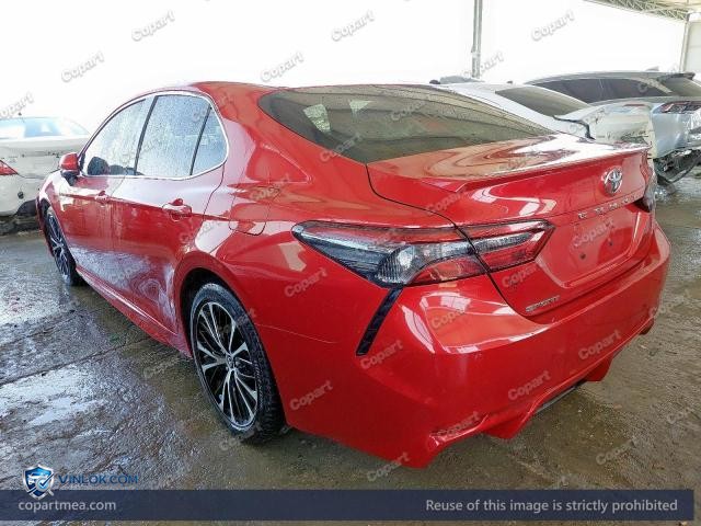 Auction photo