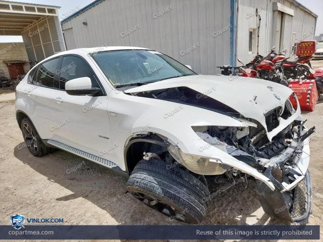 Auction photo