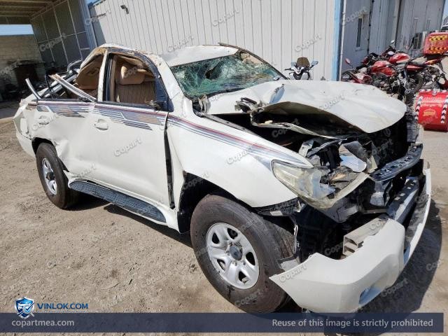 Auction photo