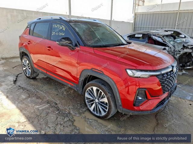 2025 CHAN CS35 — Lot 53793796 auction photo