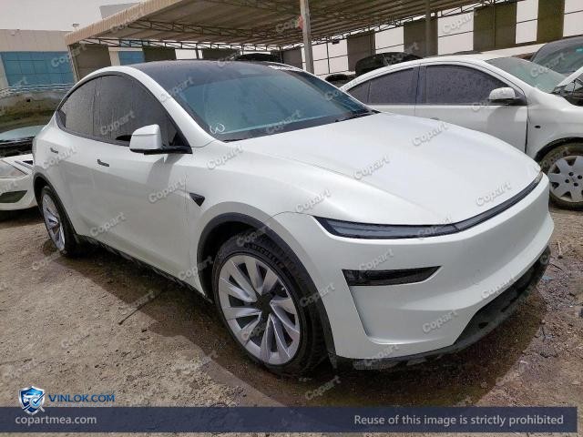 2025 TESLA MODEL Y — Lot 53853476 auction photo