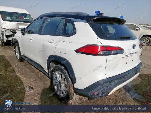 Auction photo