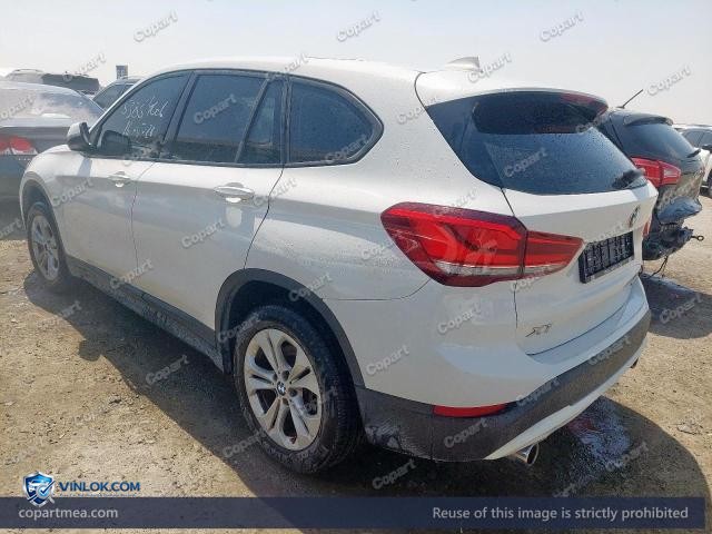 Auction photo
