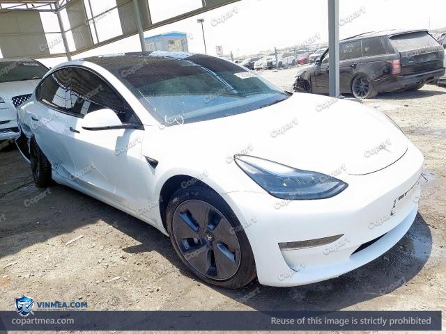 Auction photo