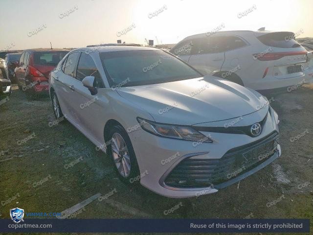 Auction photo