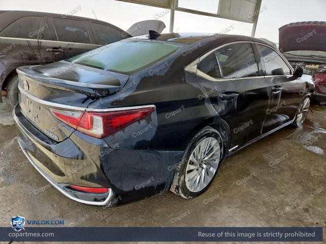 Auction photo