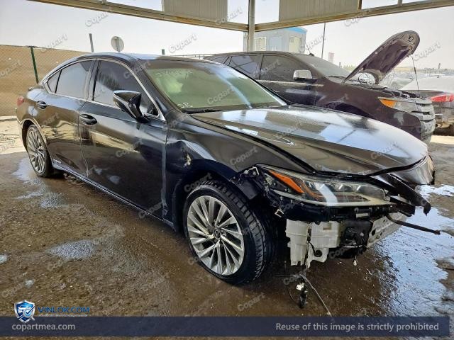 Auction photo