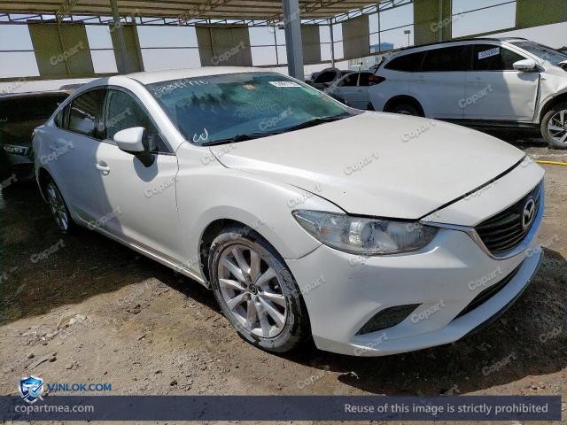 Auction photo
