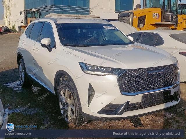 2024 HAVA H6 — Lot 53866176 auction photo