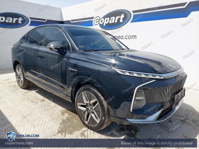 2024 MG WHALE — Lot 53869806 auction photo