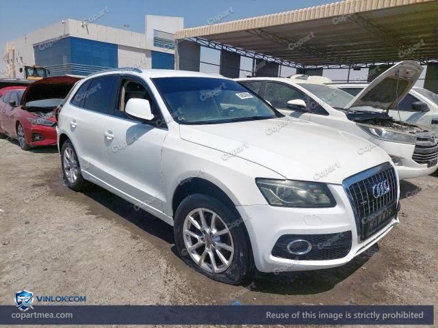 Auction photo