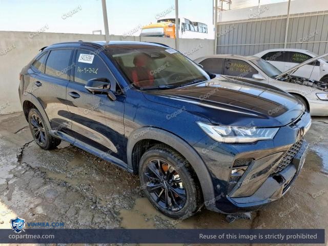 2024 HAVA H6 — Lot 54025096 auction photo