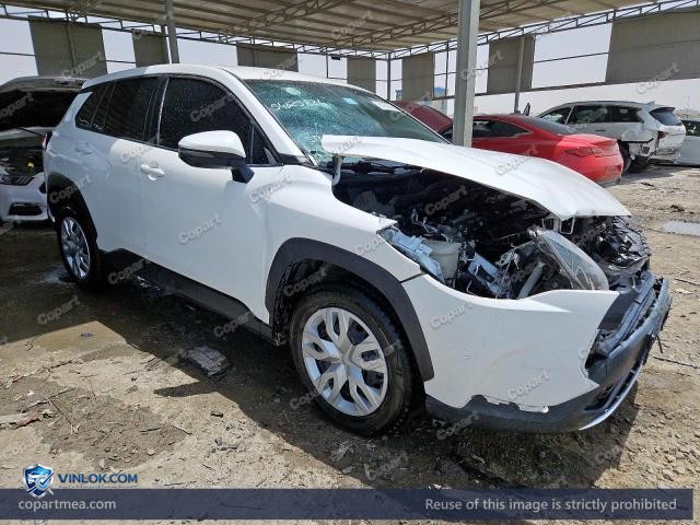 Auction photo