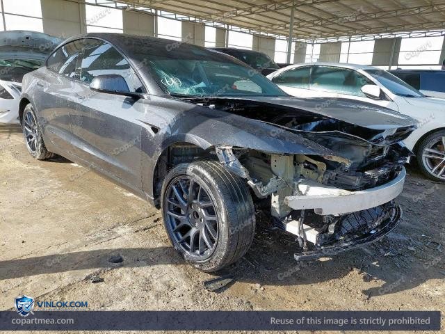 Auction photo