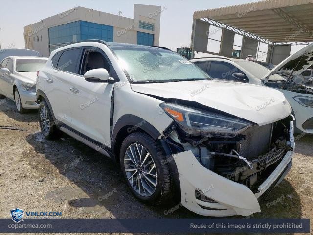 Auction photo
