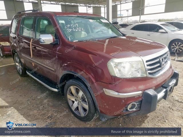 Auction photo