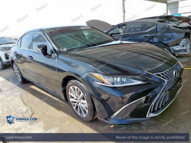2024 LEXUS ES — Lot 54028336 auction photo