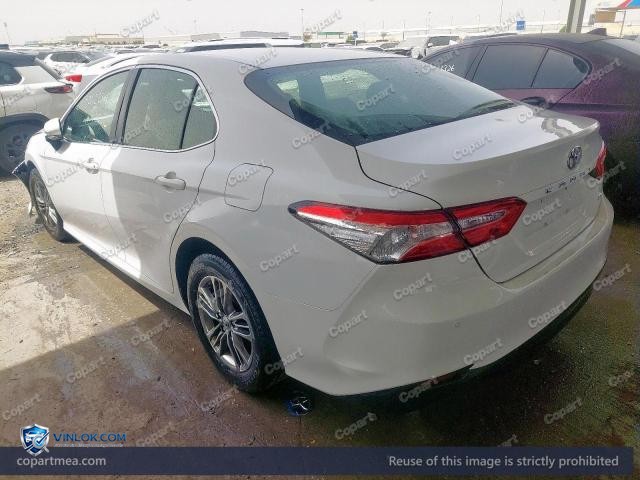 Auction photo