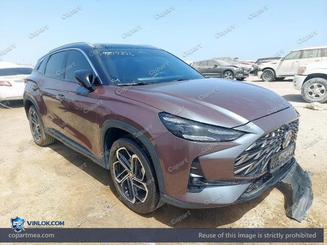 2025 MG 1 — Lot 54219356 auction photo