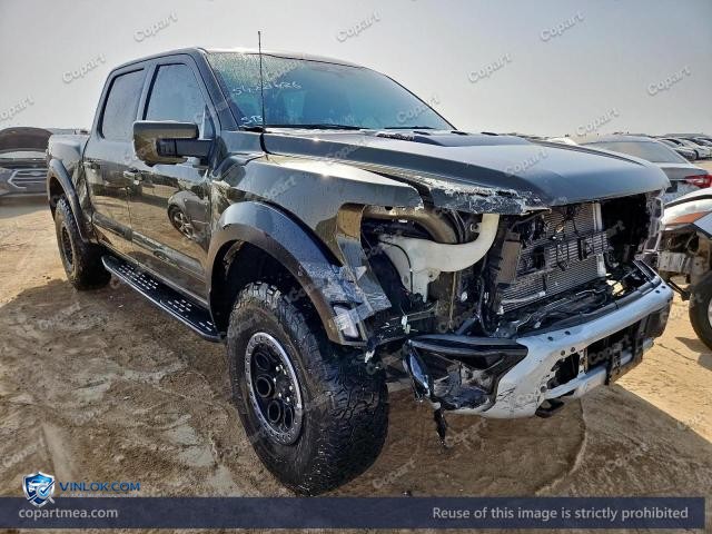 Auction photo