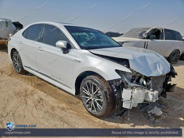 Auction photo