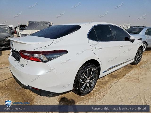 Auction photo