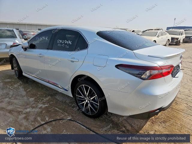 Auction photo