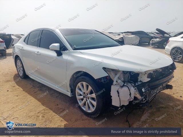 Auction photo