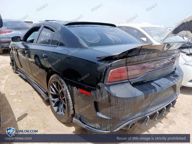 Auction photo