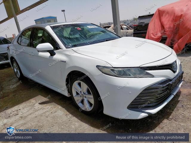 Auction photo