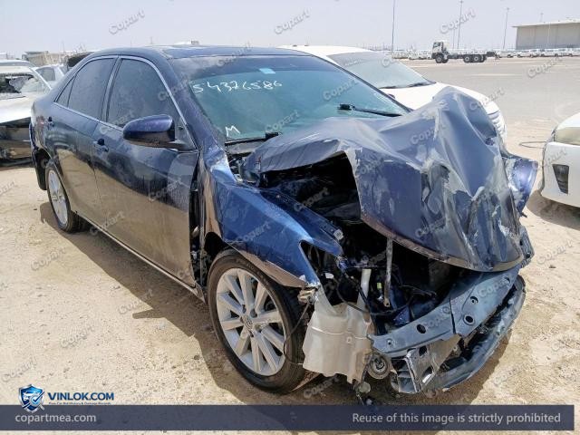 Auction photo