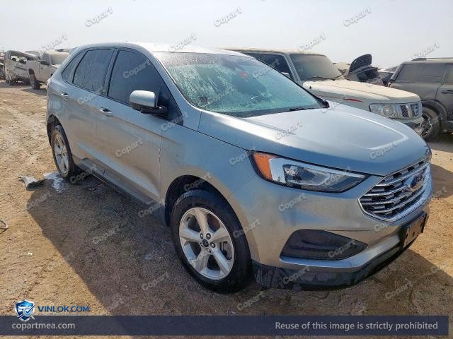 Auction photo