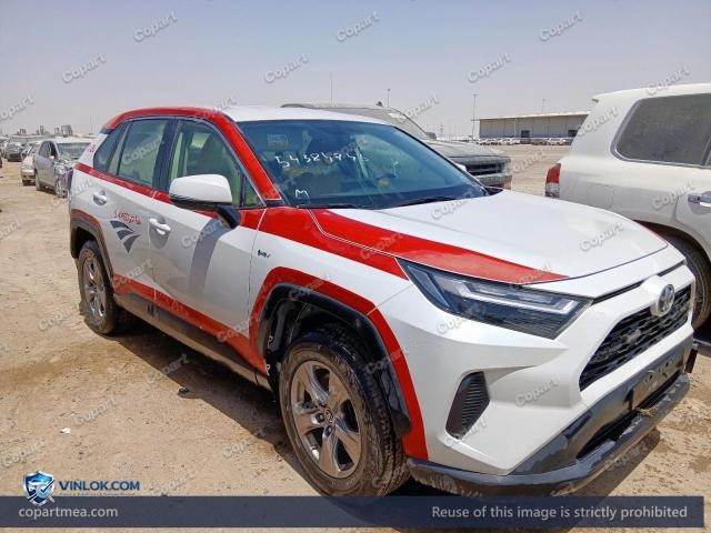 Auction photo