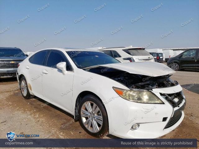 Auction photo