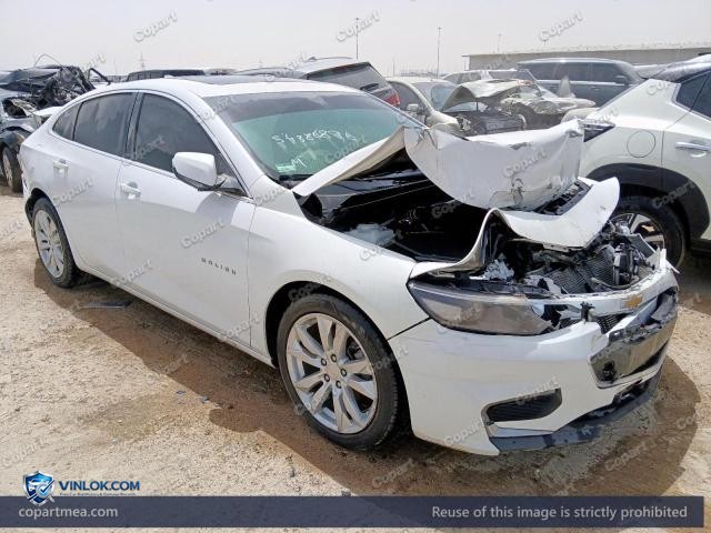 Auction photo