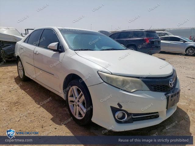 Auction photo