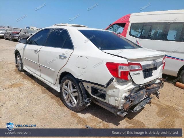 Auction photo