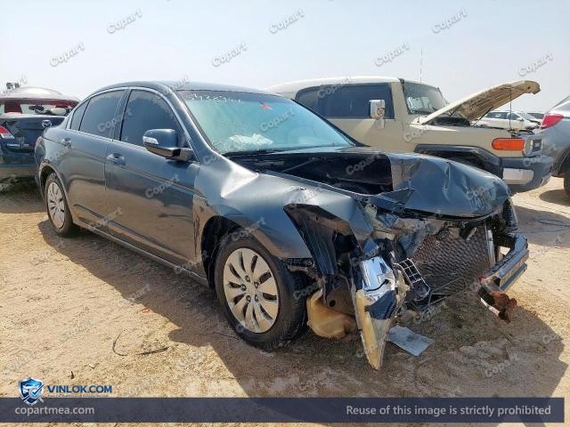 Auction photo