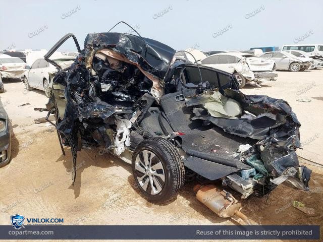 Auction photo