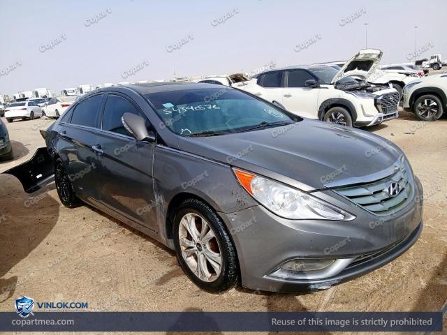Auction photo