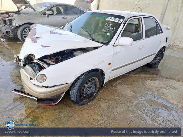 Auction photo