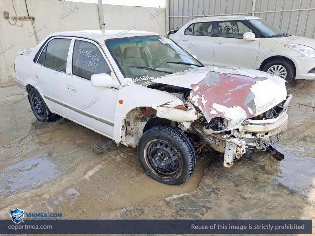 Auction photo