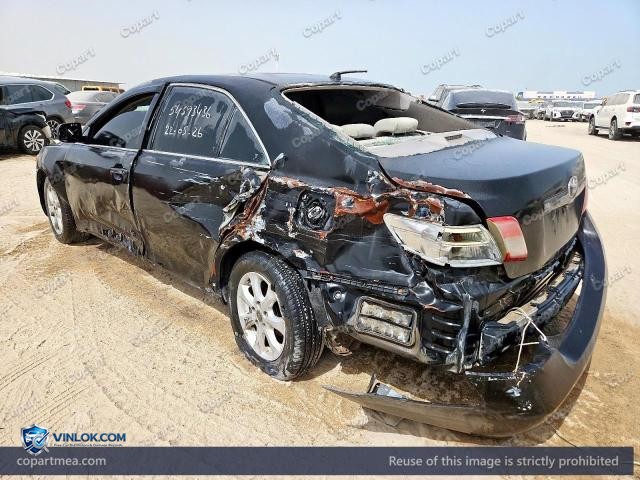 Auction photo